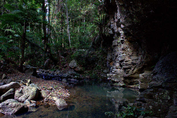 Dalrymple Creek, Queensland