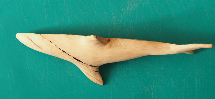 Hand carved 1/2 Great White Shark