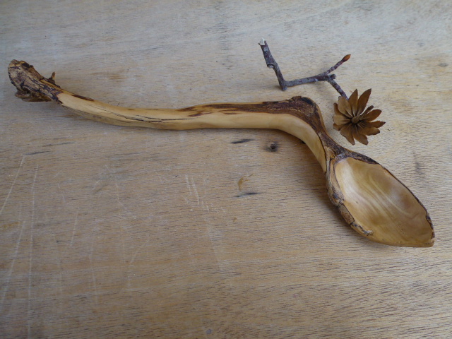 Leichhardt Bean tree spoon