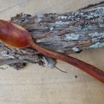 medium eucalyptus spoon