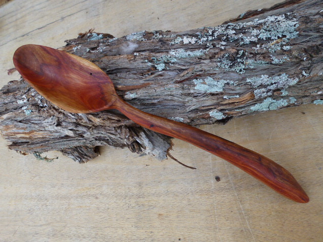 medium eucalyptus spoon