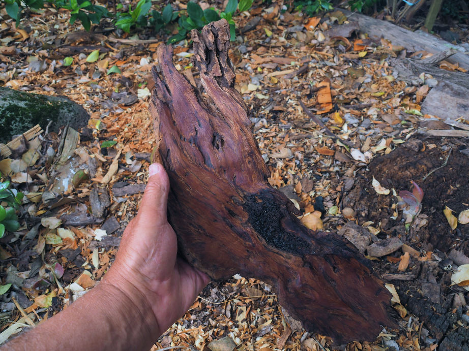 Wooden platterfrom ancient timber