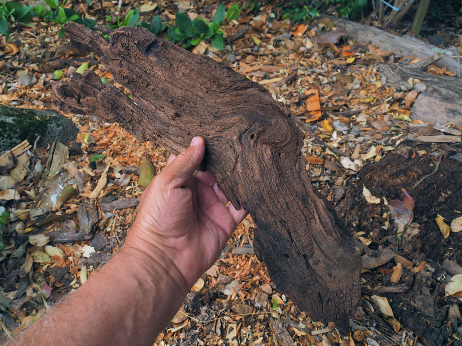 Wooden platterfrom ancient timber