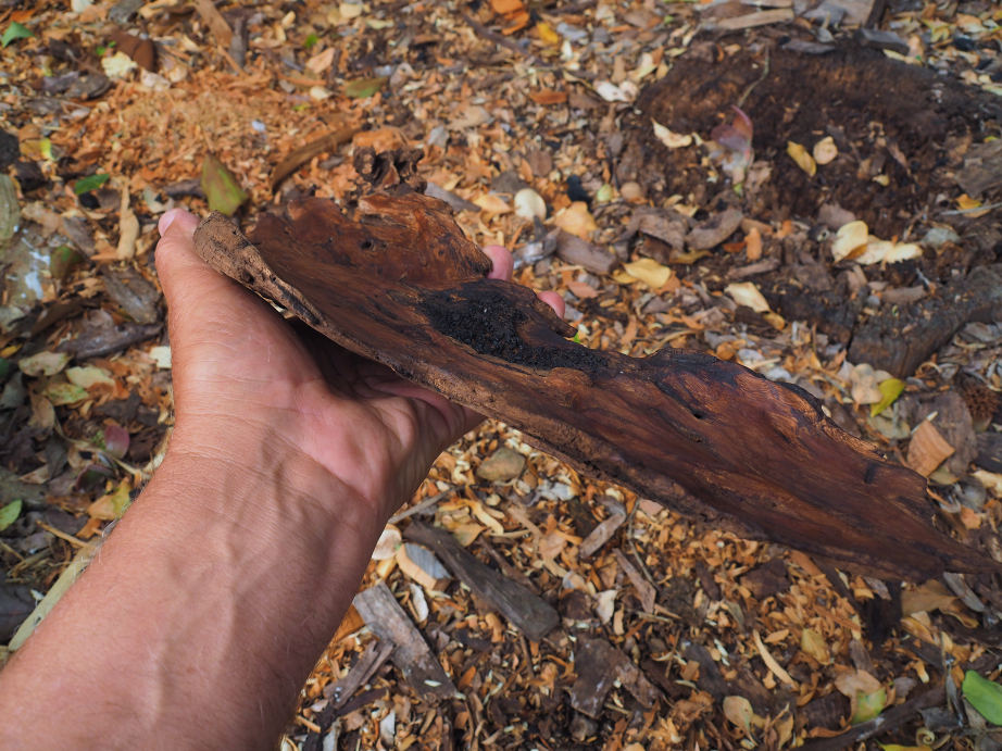 Unique Eucalyptus platter