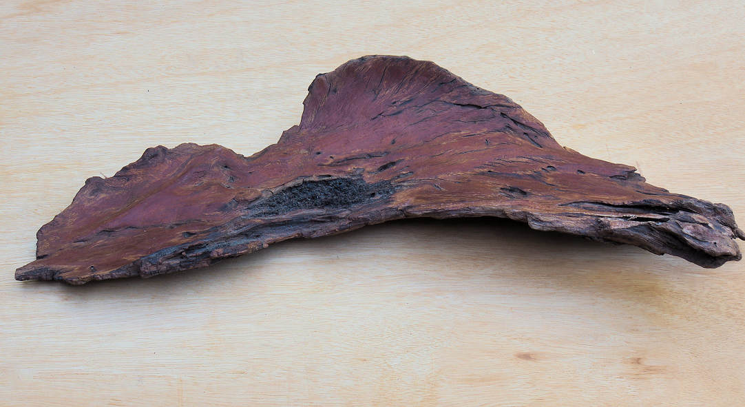 Wooden platter from ancient timber